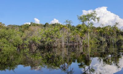 Governo arrecada R$ 179 bilhões desde 2023 para transição ecológica