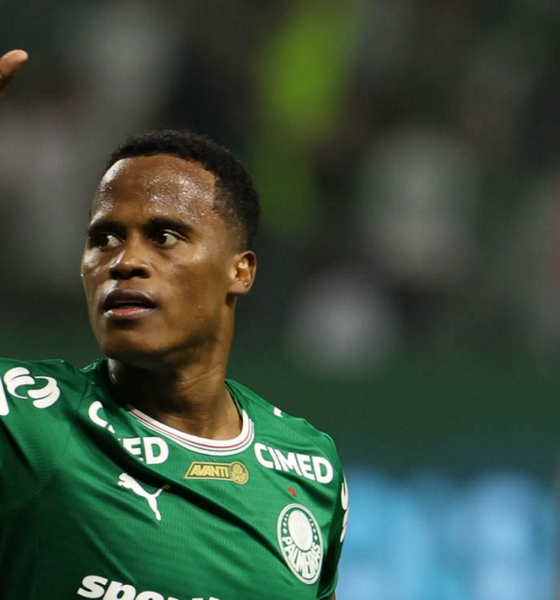 Palmeiras derrota Botafogo e assume liderança do Campeonato Brasileiro