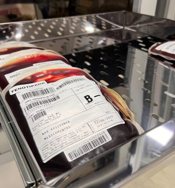 Rede Hemo reforça campanha de doação de sangue antes do MotoGP