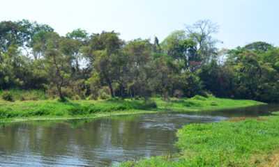 Saneago analisa a qualidade da água do Meia Ponte em expedição científica