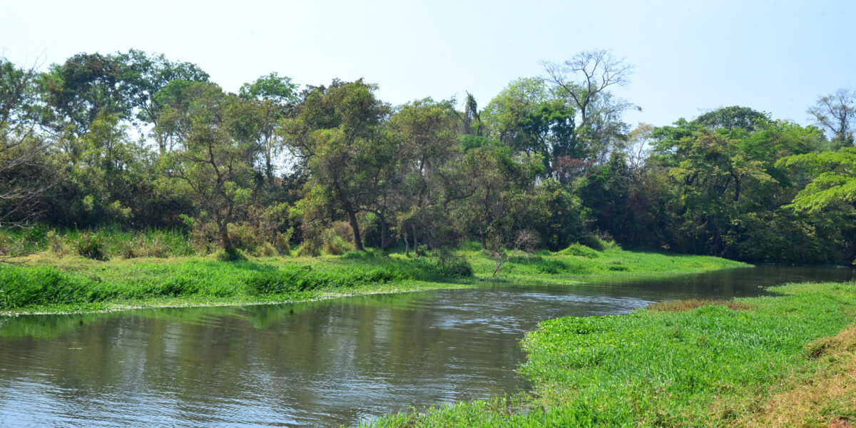 Saneago analisa a qualidade da água do Meia Ponte em expedição científica