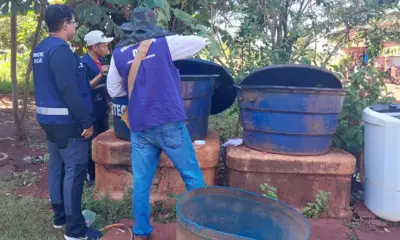 Chikungunya: compreenda a doença que gera preocupação em Mato Grosso do Sul