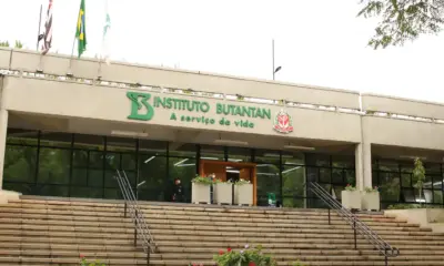 Butantan irá produzir medicamento contra câncer para o SUS