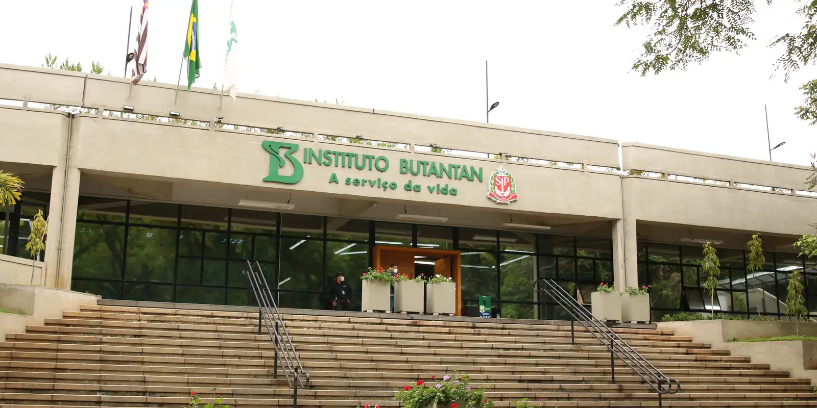 Butantan irá produzir medicamento contra câncer para o SUS