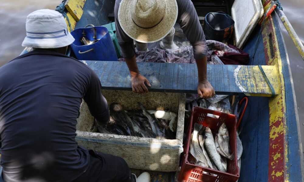 Pescadores beneficiados pelo Seguro-Defeso recebem 6º lote nesta terça