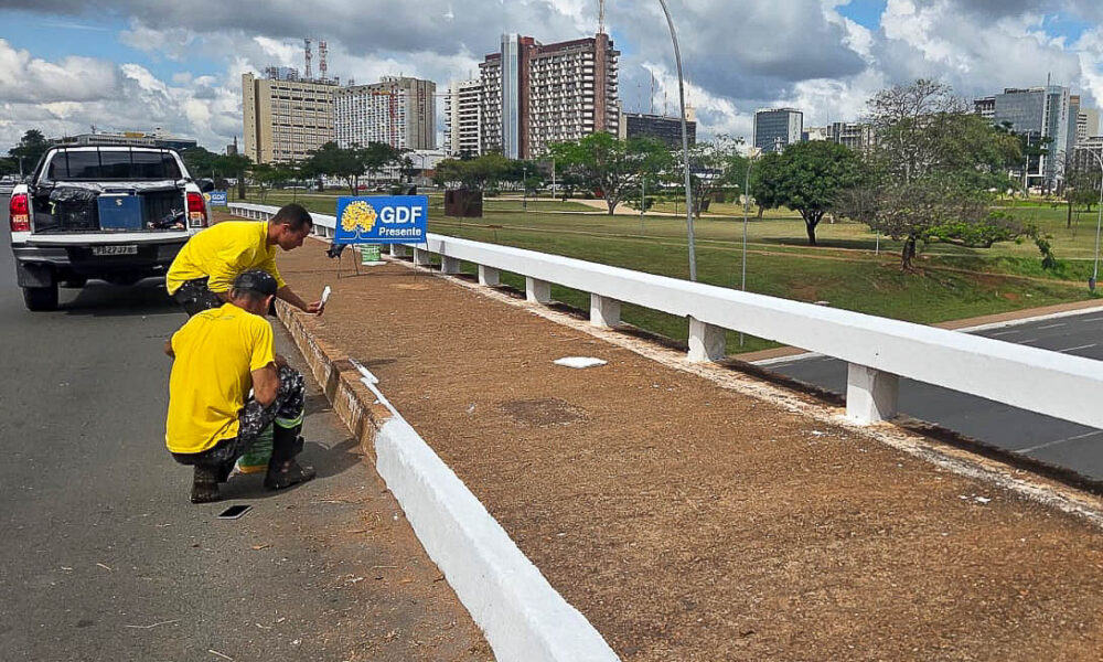 Pintura de viadutos e estruturas viárias no DF promove maior segurança no trânsito