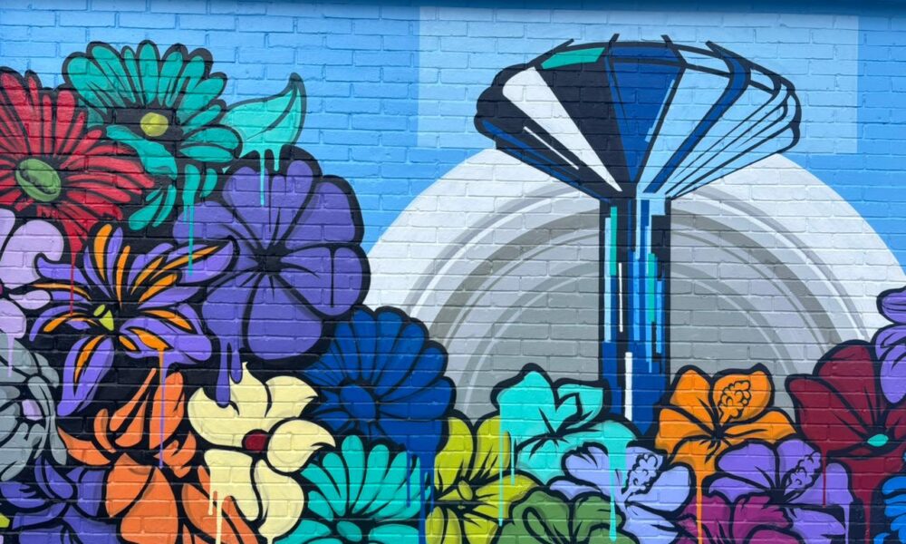 Grafite revitaliza espaços públicos em Ceilândia com a criação de monumentos interativos