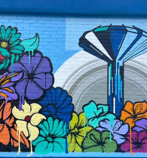 Grafite revitaliza espaços públicos em Ceilândia com a criação de monumentos interativos