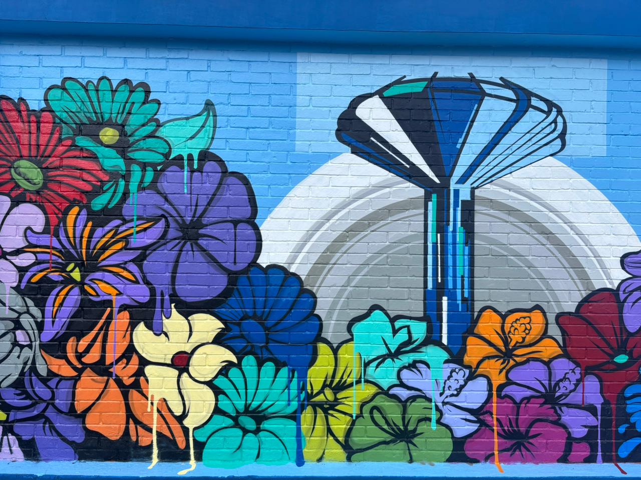 Grafite revitaliza espaços públicos em Ceilândia com a criação de monumentos interativos