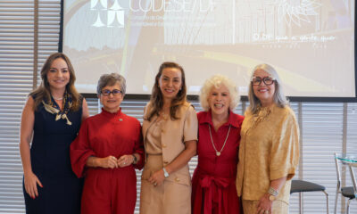 Educação divulga resultados da gestão ao Codese-DF