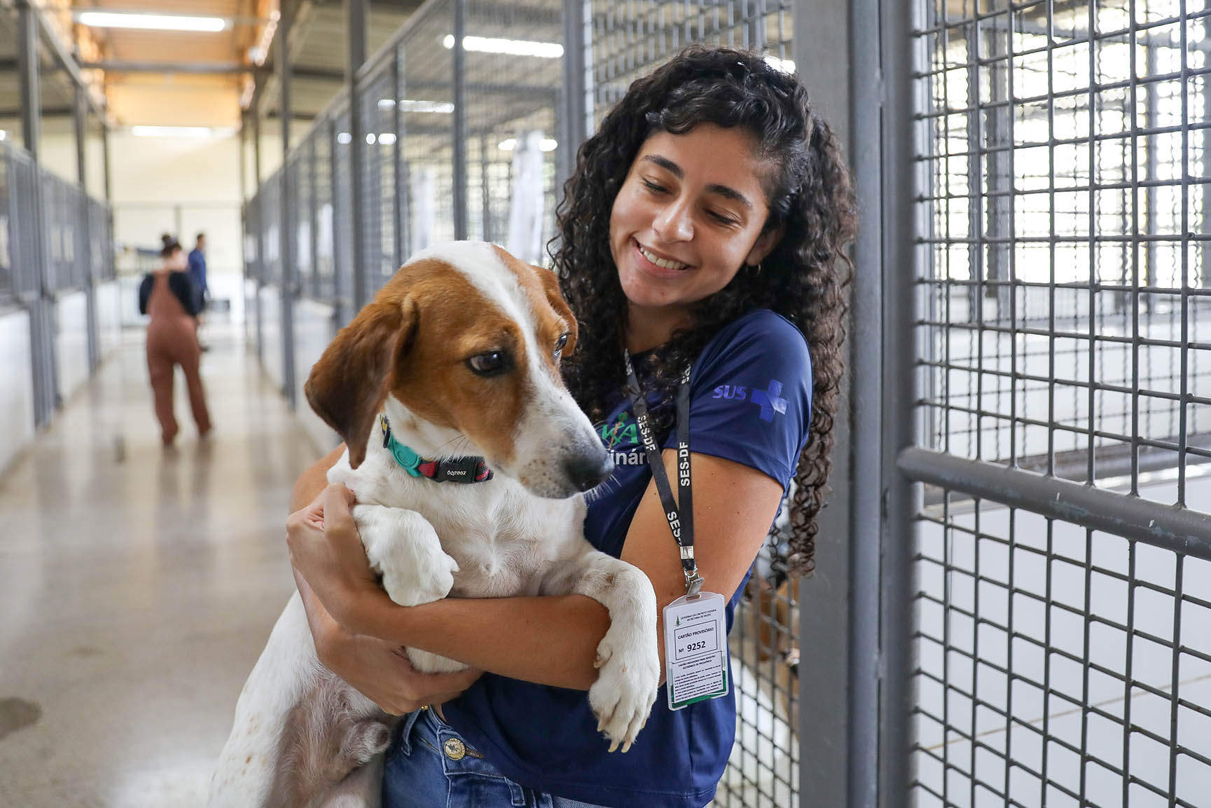 Cães resgatados estão há mais de um ano à espera de adoção na Zoonoses do DF; entenda como adotar