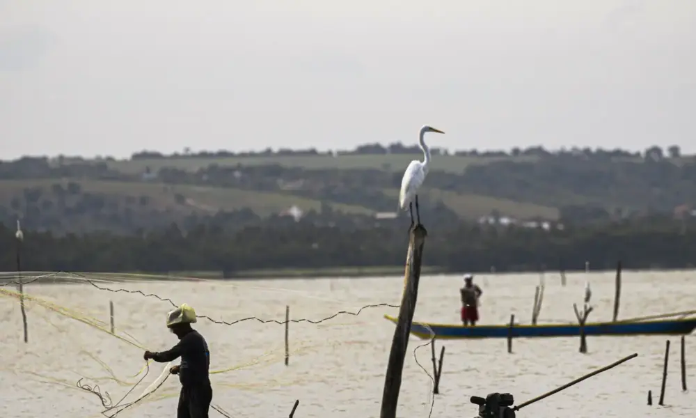 Sexto lote do seguro-defeso será liberado na próxima terça-feira