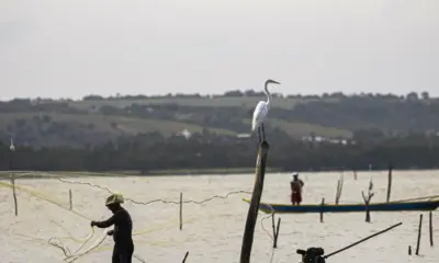 Sexto lote do seguro-defeso será liberado na próxima terça-feira