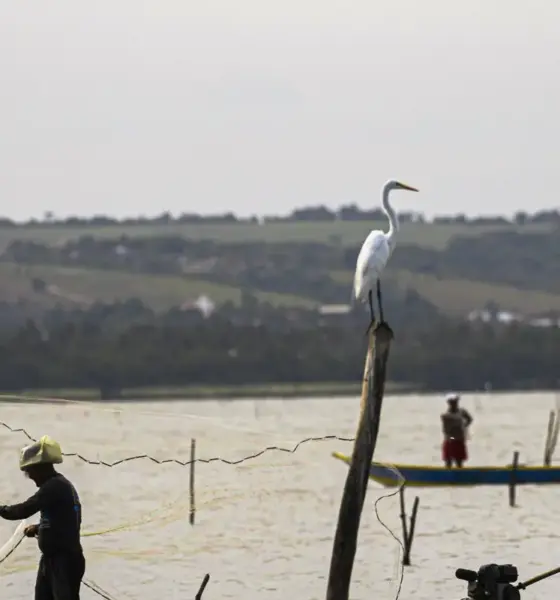 Sexto lote do seguro-defeso será liberado na próxima terça-feira