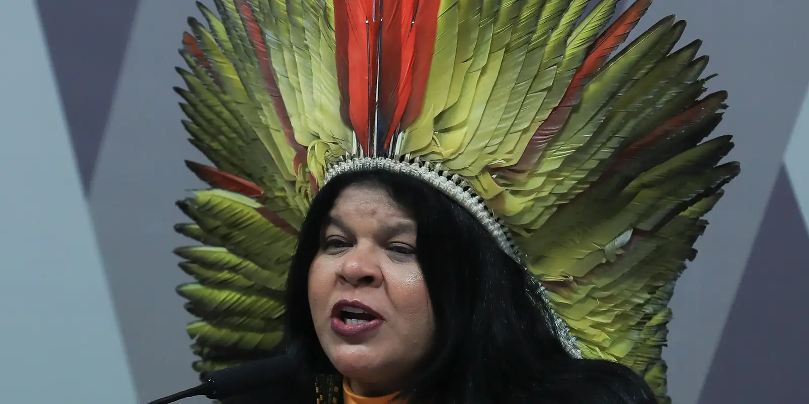 Sônia Guajajara apresenta melhora, mas permanece internada em São Paulo