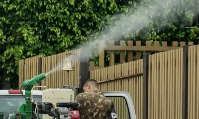 Mato Grosso do Sul receberá vacina em projeto de combate à chikungunya