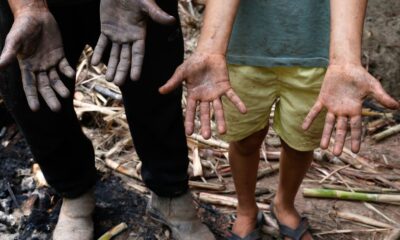 Famílias enfrentam dificuldades na reconstrução da vida um mês após as chuvas em Minas Gerais