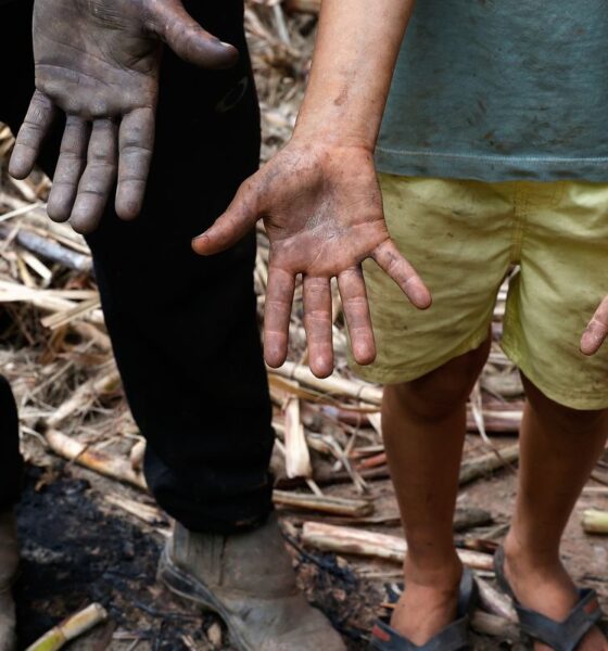Famílias enfrentam dificuldades na reconstrução da vida um mês após as chuvas em Minas Gerais