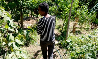 Horta comunitária reúne memória, cuidado e cidadania em favela do Rio