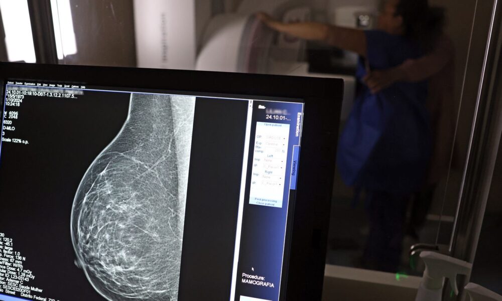 Nova legislação garante três folgas anuais para realização de exames preventivos