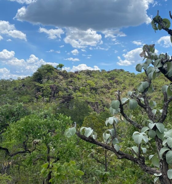 PSA Cerrado em Pé estende prazo de inscrição até 30 de junho