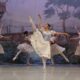 Cia Jovem Basileu França inicia temporada 2026 com o balé "Giselle"