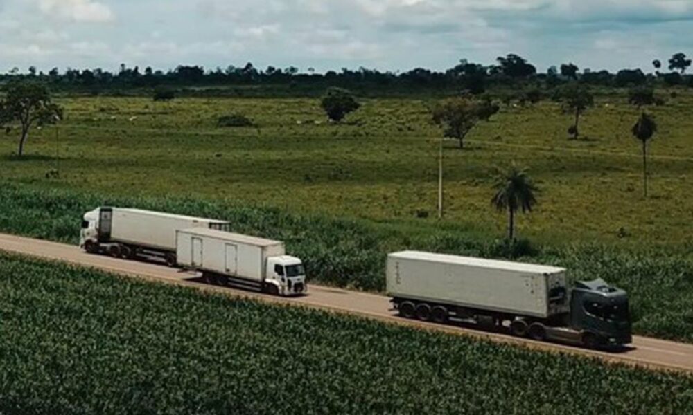 Serviços crescem 0,1% em fevereiro, atingindo recorde na série histórica