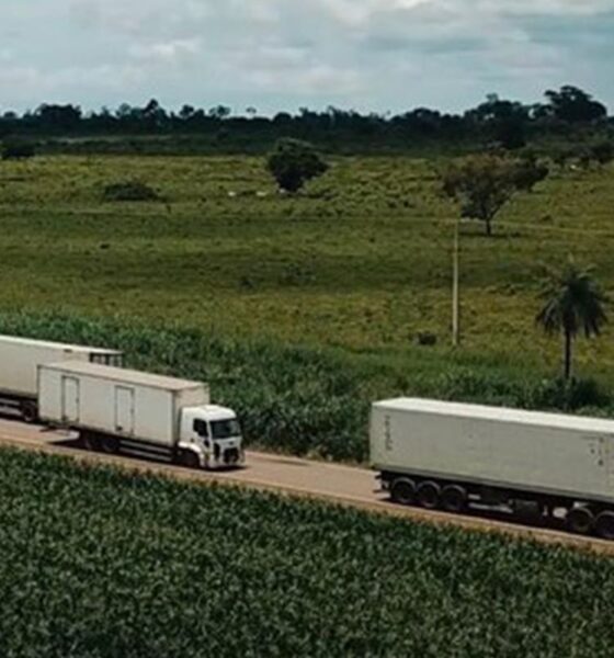 Serviços crescem 0,1% em fevereiro, atingindo recorde na série histórica