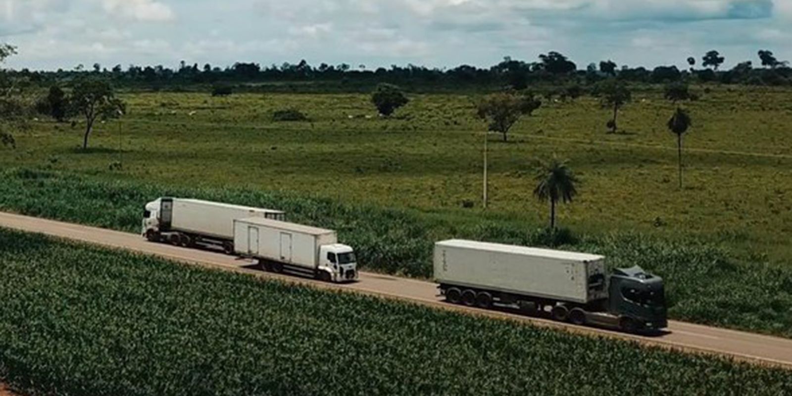 Serviços crescem 0,1% em fevereiro, atingindo recorde na série histórica