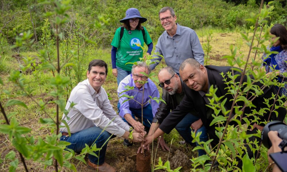 Ação conjunta do GDF e do governo federal visa à recuperação de nascentes