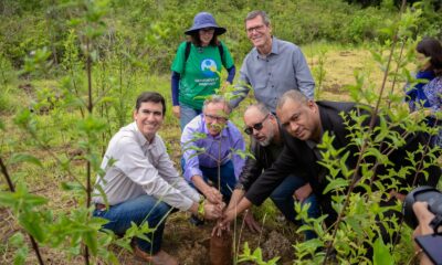 Ação conjunta do GDF e do governo federal visa à recuperação de nascentes