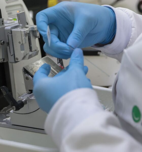 Publicada lei que amplia prevenção e controle do câncer no SUS