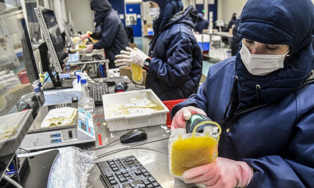 Dia Mundial da Hemofilia destaca a importância do diagnóstico precoce