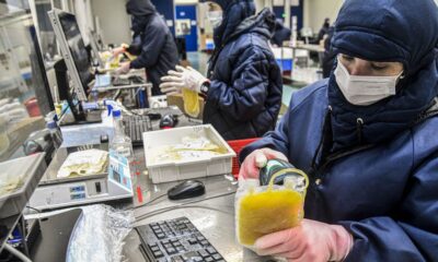 Dia Mundial da Hemofilia destaca a importância do diagnóstico precoce