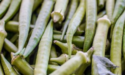 Pagamento do Garantia-Safra: confira a lista dos beneficiários de abril