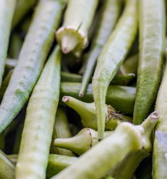 Pagamento do Garantia-Safra: confira a lista dos beneficiários de abril