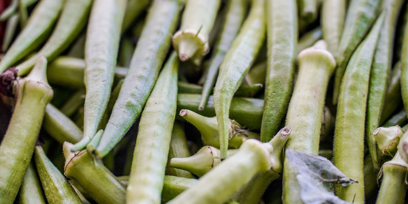 Pagamento do Garantia-Safra: confira a lista dos beneficiários de abril