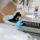Malária: Anvisa autoriza teste em humanos de vacina 100% brasileira