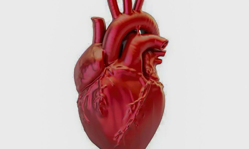 A cada 72 segundos, uma pessoa morre por doença cardiovascular no país