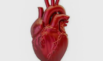 A cada 72 segundos, uma pessoa morre por doença cardiovascular no país