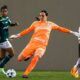 Palmeiras surpreende e deixa Kate Tapia fora da Libertadores Feminina