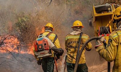 Fiocruz analisa impacto das queimadas na saúde indígena no Amazonas