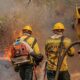 Fiocruz analisa impacto das queimadas na saúde indígena no Amazonas