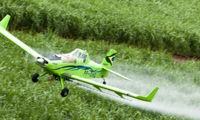 Brasil é 2º maior importador de pesticidas proibidos na UE, diz Oxfam